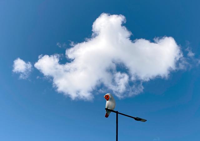 Vesa-Pekka Rannikko: Vahdit, 2022. Kuva: Vesa-Pekka Rannikko © Kuvasto 2024 Valkoinen pöllö veistos, jolla punaisen sävyinen kasvojen alue istuu lyhtypylväässä sinistä taivasta vasten.